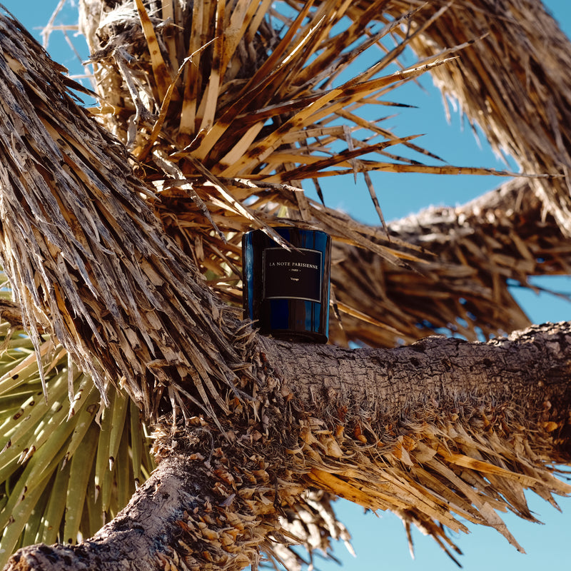 La Note Parisienne
